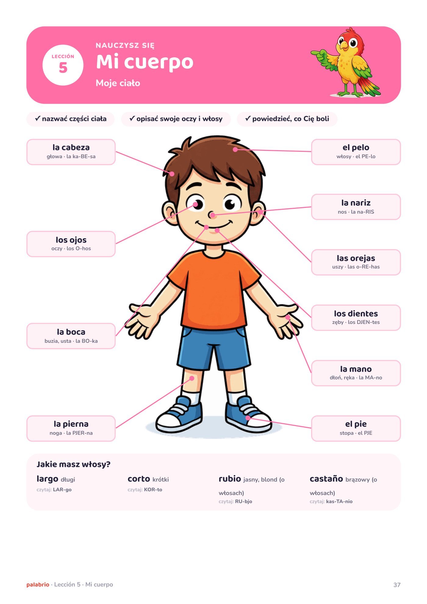 Plakat: Mi cuerpo